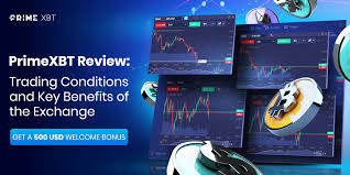 PrimeXBT Promo Codes Scopri come ottenere vantaggi esclusivi PrimeXBT Promo Codes Scopri come ottenere vantaggi esclusivi